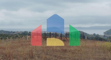 Продаж - Земельна ділянка 5000 m² на Афоні (Халкідіки)