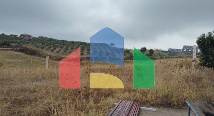 Продаж - Земельна ділянка 5000 m² на Афоні (Халкідіки)