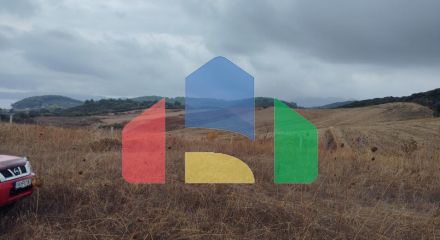 Продаж - Земельна ділянка 5000 m² на Афоні (Халкідіки)