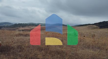 Продаж - Земельна ділянка 5000 m² на Афоні (Халкідіки)