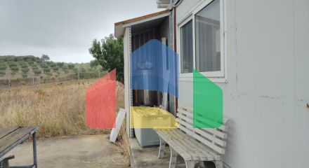 Продаж - Земельна ділянка 5000 m² на Афоні (Халкідіки)