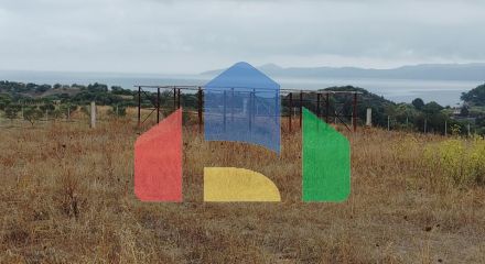 Продаж - Земельна ділянка 5000 m² на Афоні (Халкідіки)