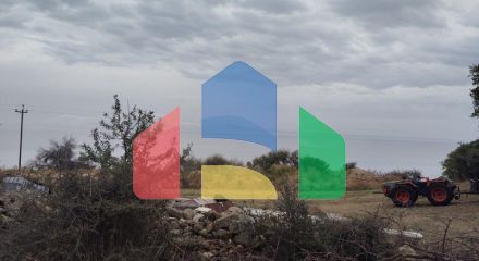 Продаж - Земельна ділянка 5000 m² на Афоні (Халкідіки)