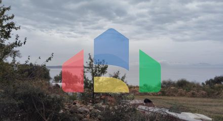 Продаж - Земельна ділянка 5000 m² на Афоні (Халкідіки)