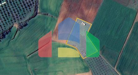 Продаж - Земельна ділянка 5000 m² на Афоні (Халкідіки)