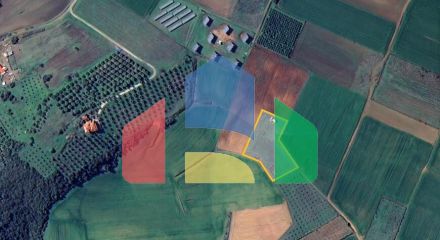 Продаж - Земельна ділянка 5000 m² на Афоні (Халкідіки)