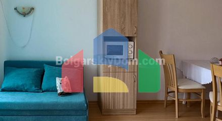 One-bedroom apartment in Sunny Day 6