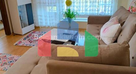 One-bedroom apartment in Sunny Day 6