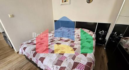 Велика квартира-студія в Даун Парк Делюкс