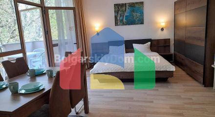 One-bedroom apartment in Berlin Green Park