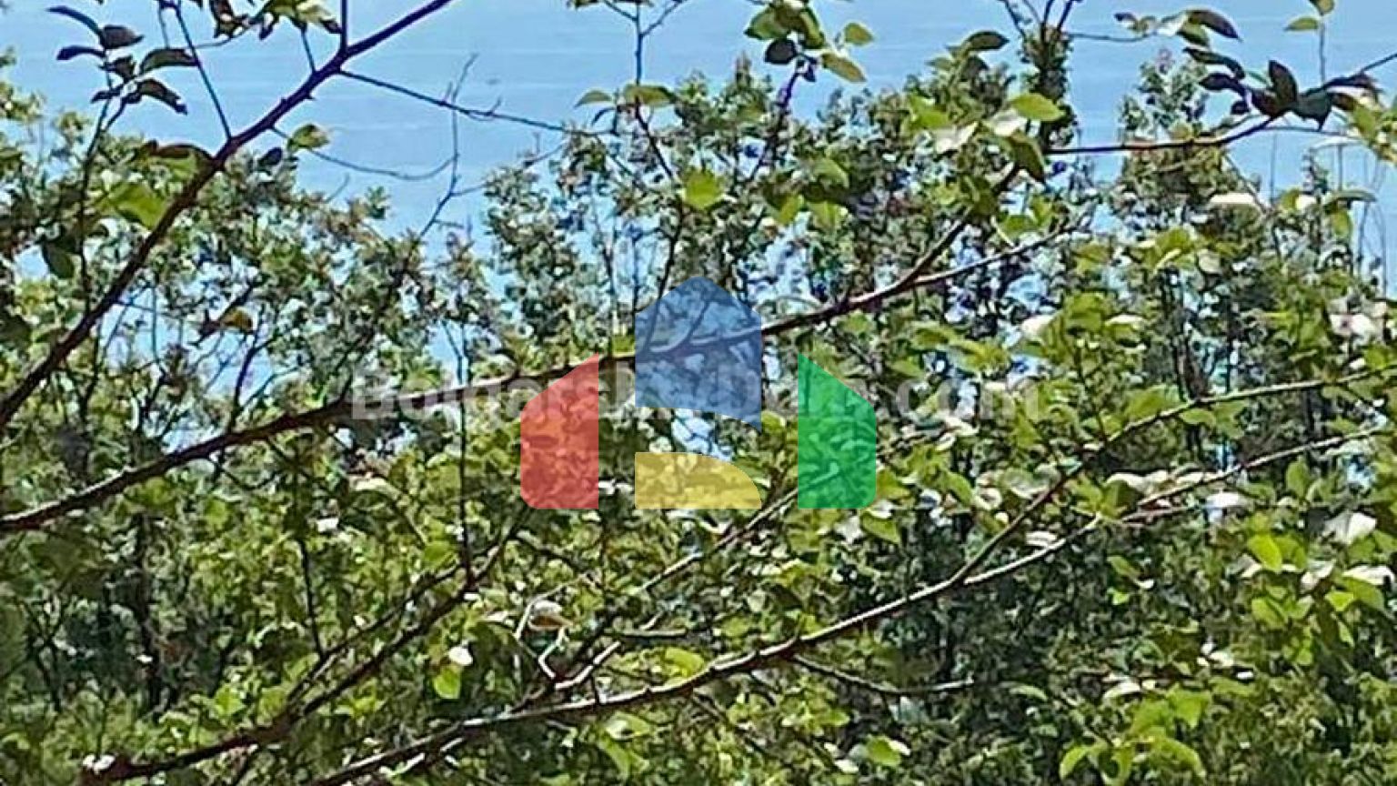 Двухкомнатная квартира в Берлин Грин Парк