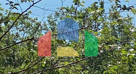 Двухкомнатная квартира в Берлин Грин Парк