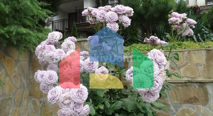 Святая София