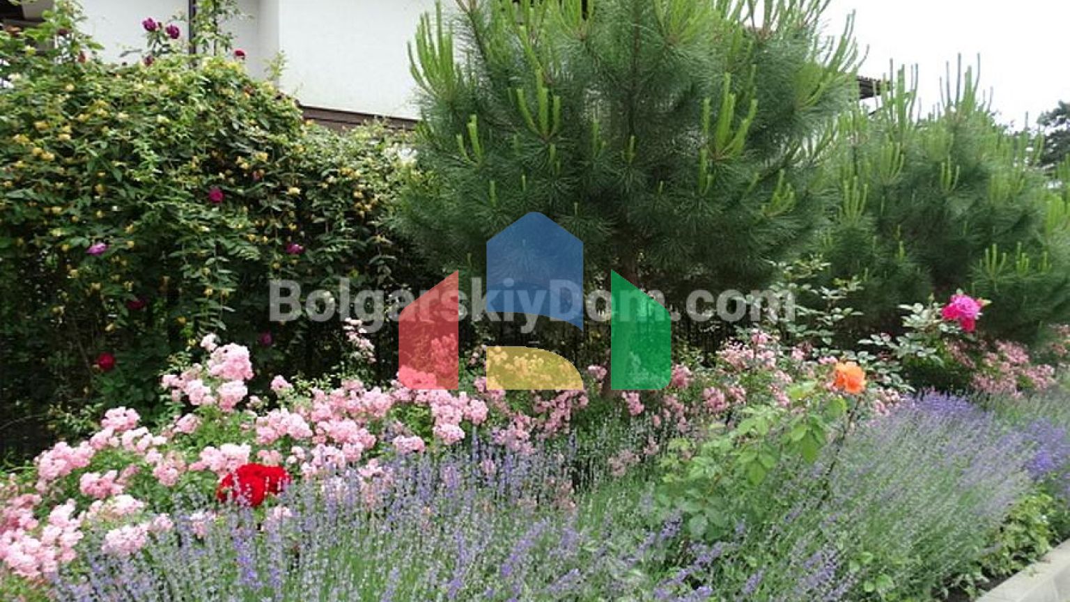 Святая София