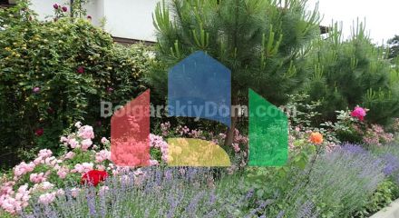 Святая София