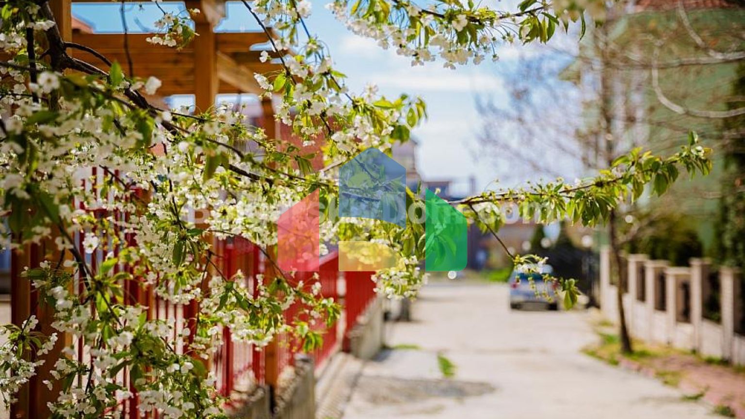 Квартири від забудовника у Гранд Вілла