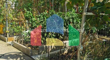 Будинок у Святому Власі