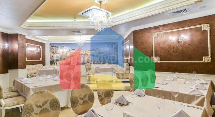 Вілла Флоренція