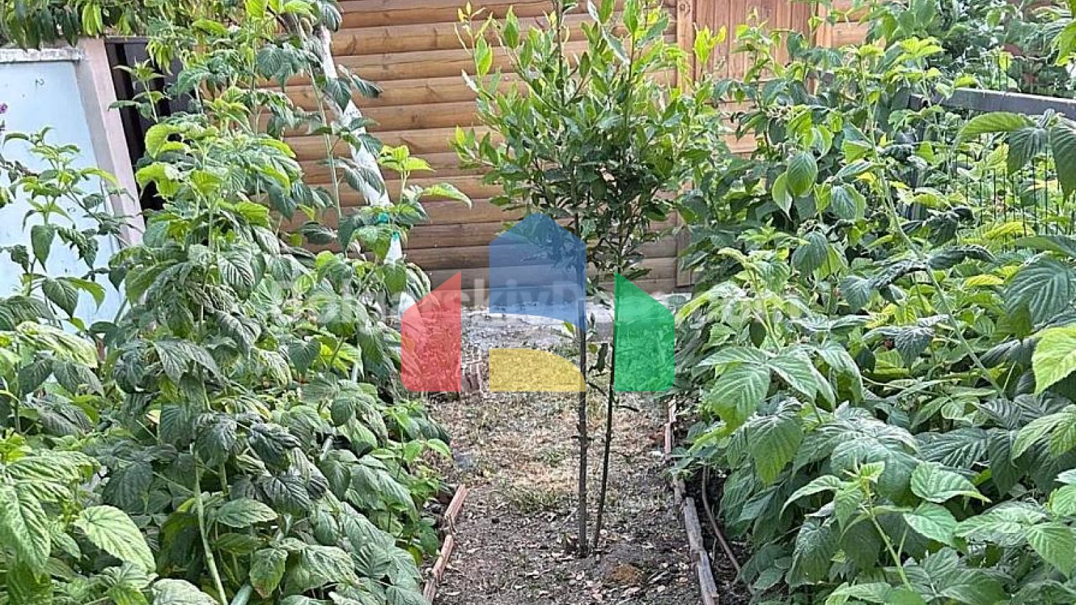 Одноповерховий будинок в Каменар