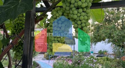 Одноповерховий будинок в Каменар