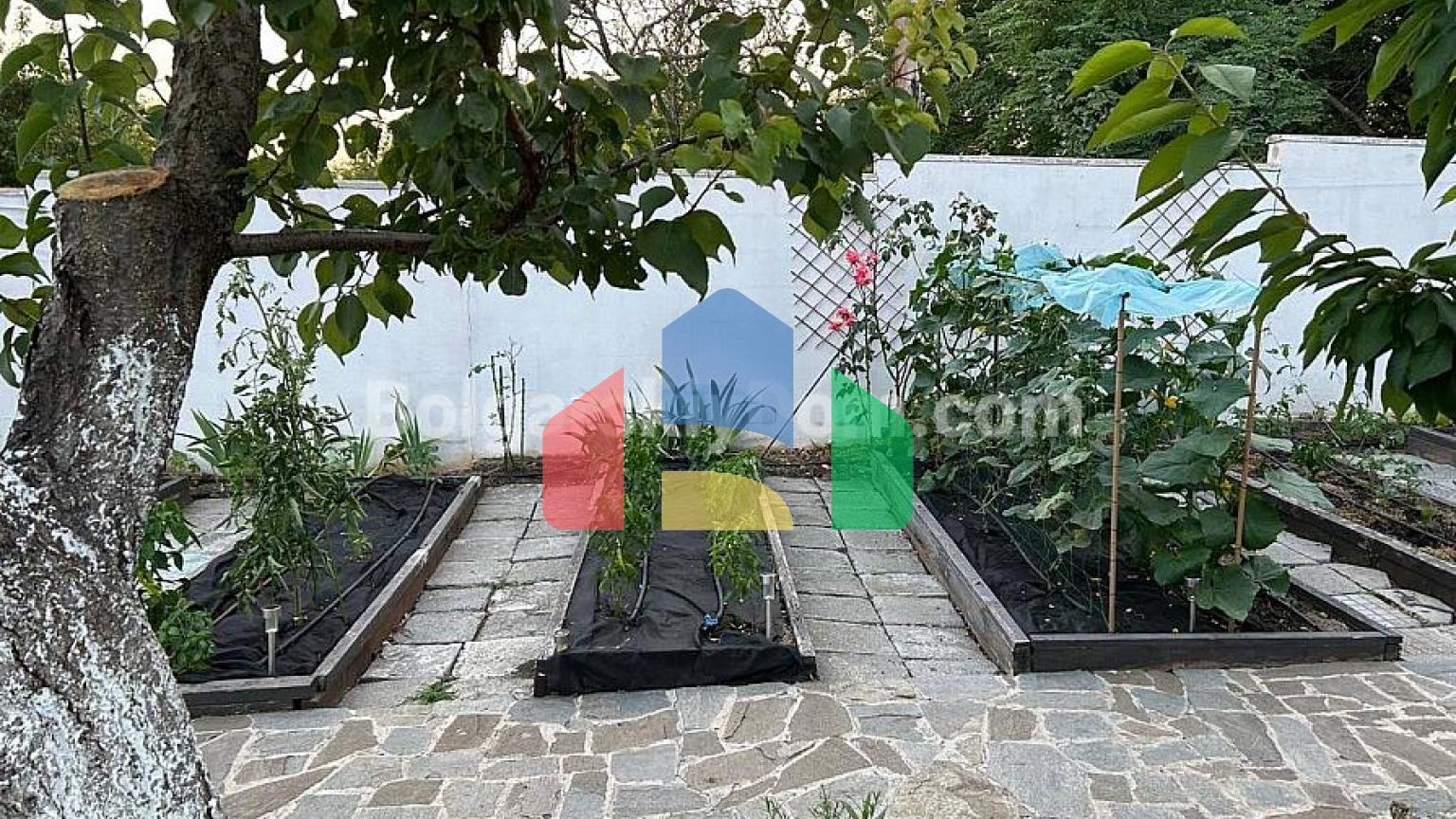 Одноповерховий будинок в Каменар