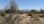 Residential - Vacant Land - Scottsdale, Arizona, United States - United States