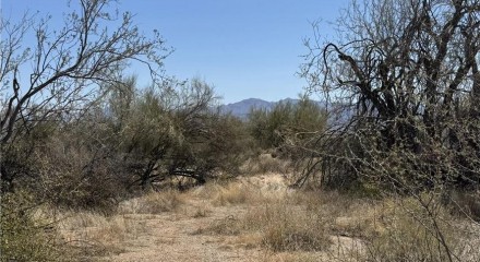 Residential - Vacant Land - Scottsdale, Arizona, United States - United States