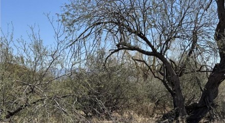 Residential - Vacant Land - Scottsdale, Arizona, United States - United States