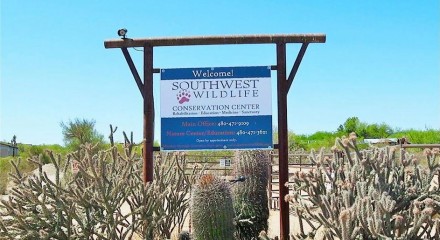 Residential - Vacant Land - Scottsdale, Arizona, United States - United States