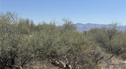 Residential - Vacant Land - Scottsdale, Arizona, United States - United States