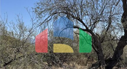 Residential - Vacant Land - Scottsdale, Arizona, United States - United States