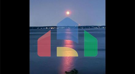 Residential - Other - New York, New York, United States - United States