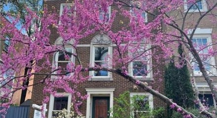 Residential - Single Family Home - Washington, District of Columbia, United States - United States