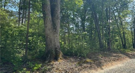 Residential - Vacant Land - Burlington, North Carolina, United States - United States