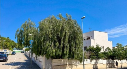 Residential - House - Canet de Mar, Barcelona, Cataluña - SP