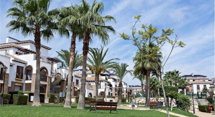 Residential - Terraced House - Vera, Almería, Andalucía - SP