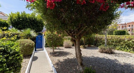 Residential - Semi-Detached House - Vera, Almería, Andalucía - SP