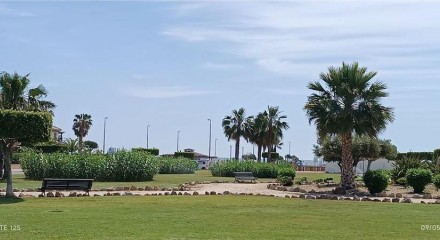 Residential - Semi-Detached House - Vera, Almería, Andalucía - SP