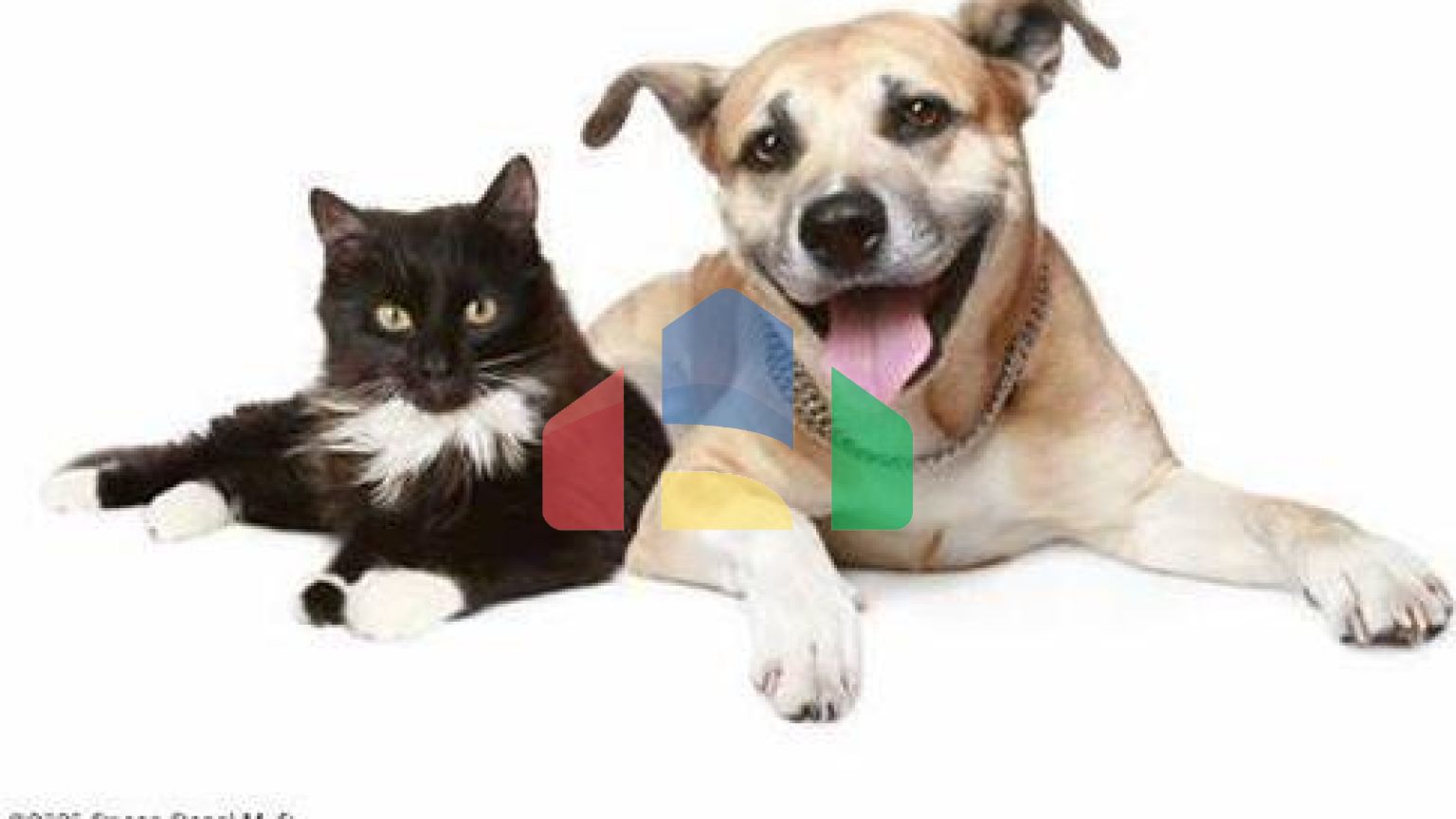 Residential - Single Family Home - Vero Beach, Florida, United States - United States