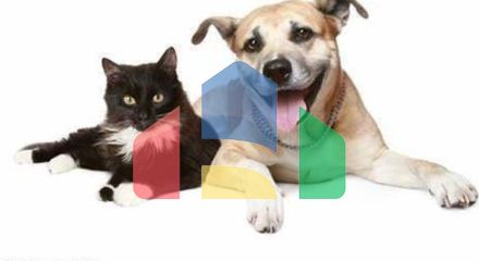 Residential - Single Family Home - Vero Beach, Florida, United States - United States