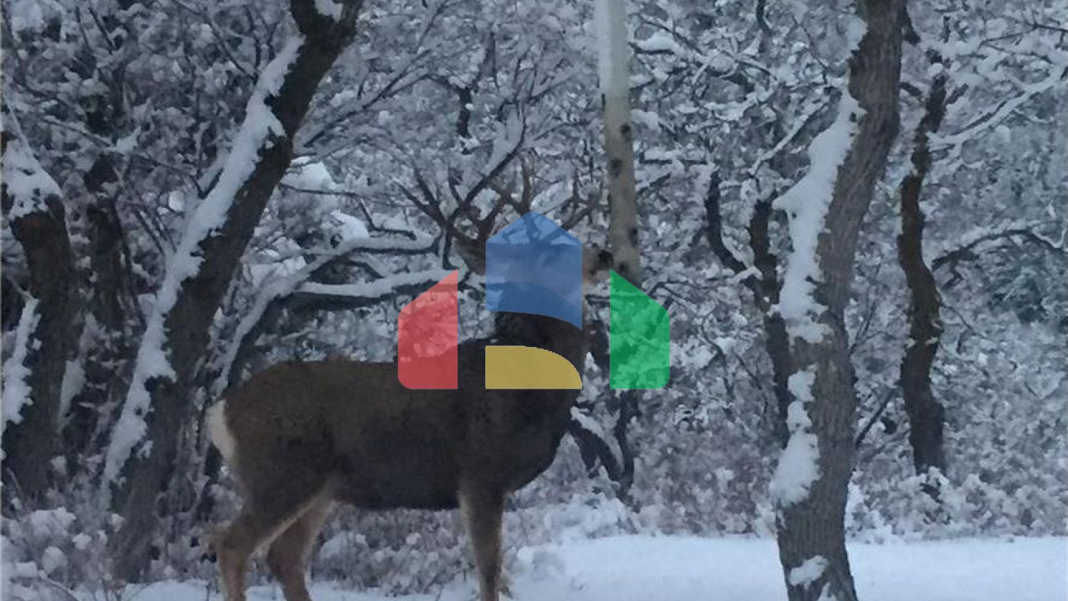 Residential - Single Family Home - Park City, Utah, United States - United States