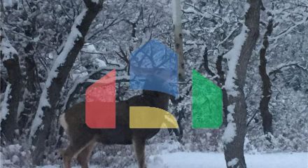 Residential - Single Family Home - Park City, Utah, United States - United States