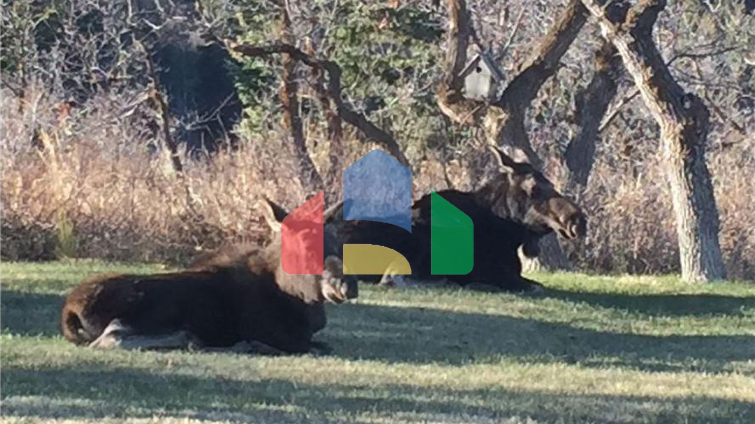 Residential - Single Family Home - Park City, Utah, United States - United States