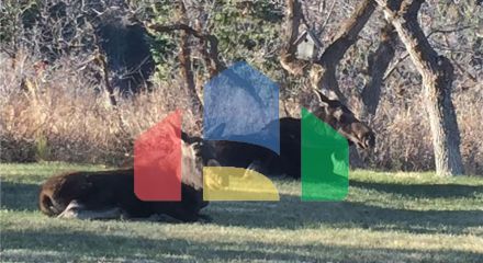 Residential - Single Family Home - Park City, Utah, United States - United States