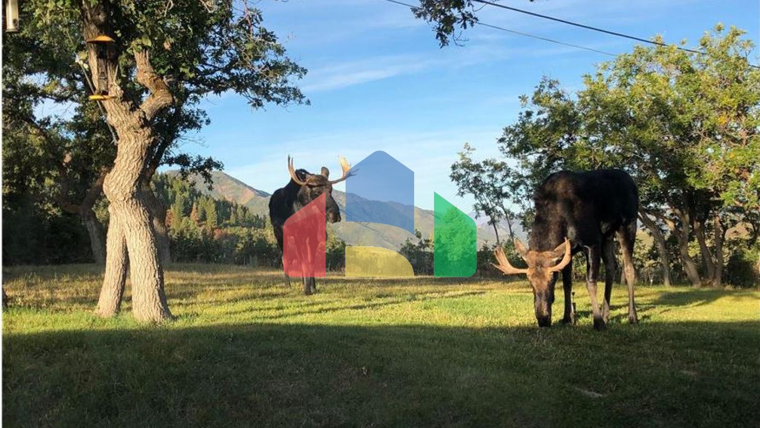 Residential - Single Family Home - Park City, Utah, United States - United States