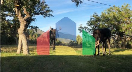 Residential - Single Family Home - Park City, Utah, United States - United States