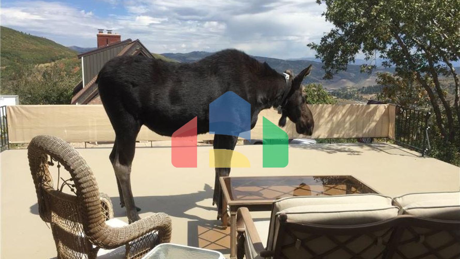 Residential - Single Family Home - Park City, Utah, United States - United States