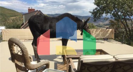 Residential - Single Family Home - Park City, Utah, United States - United States