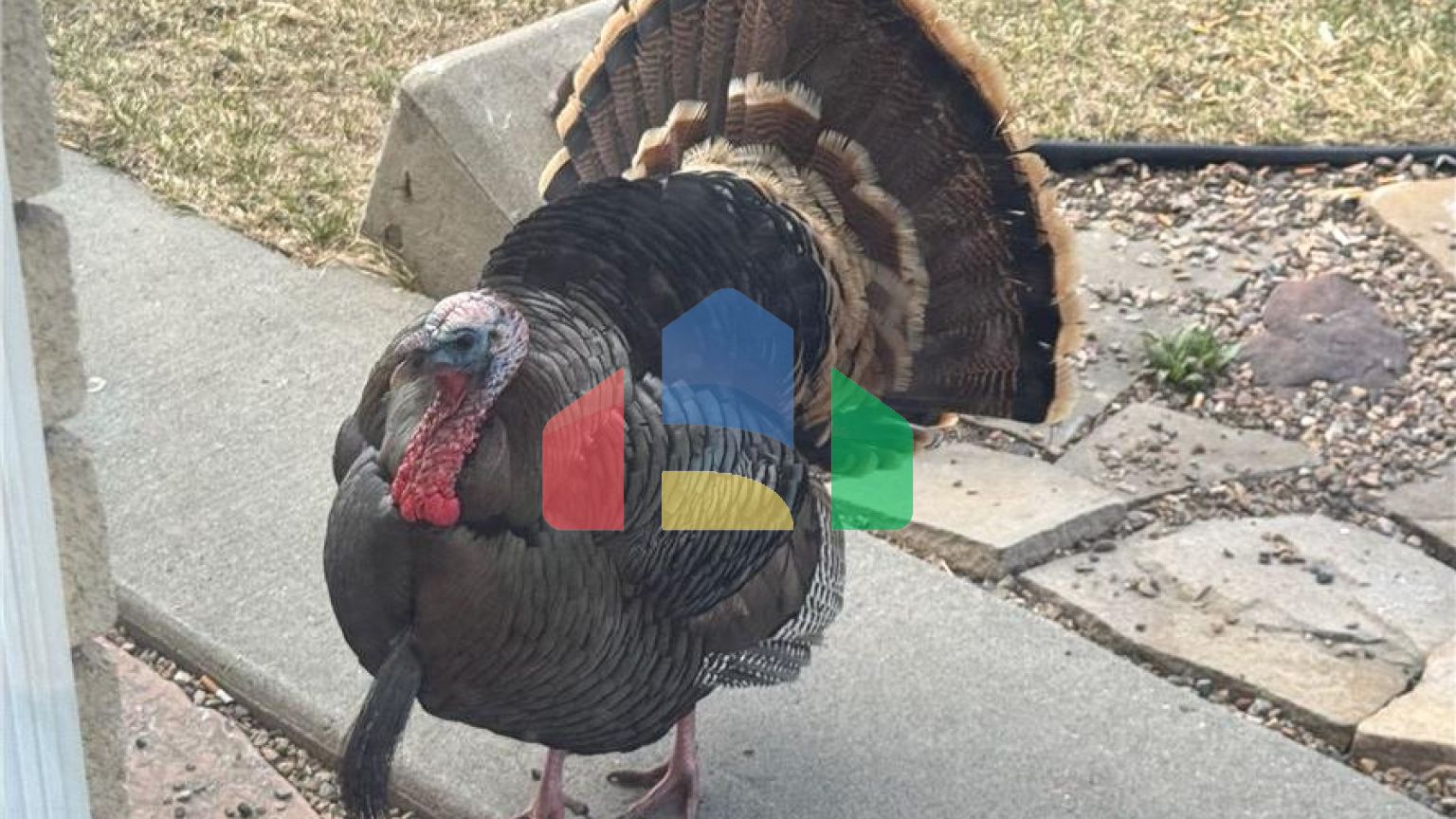 Residential - Single Family Home - Park City, Utah, United States - United States