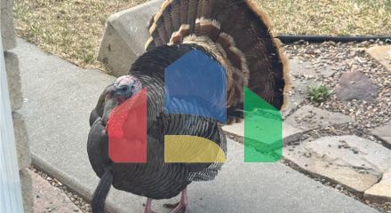 Residential - Single Family Home - Park City, Utah, United States - United States